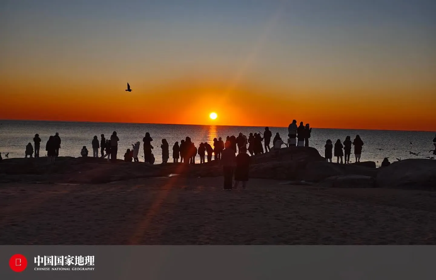 感谢各位在早晨 6 共同构成的这幅全景画面