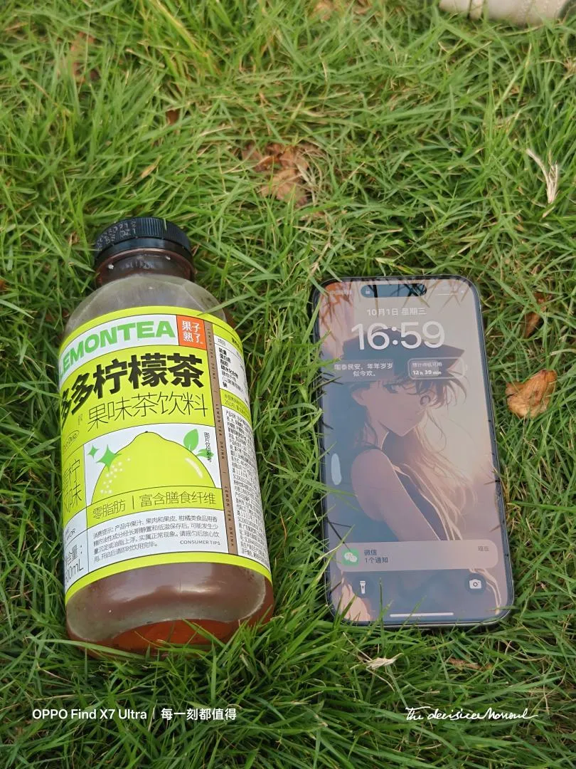 植物园中的随机一景